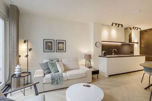 Ready to live homes in Amstedam